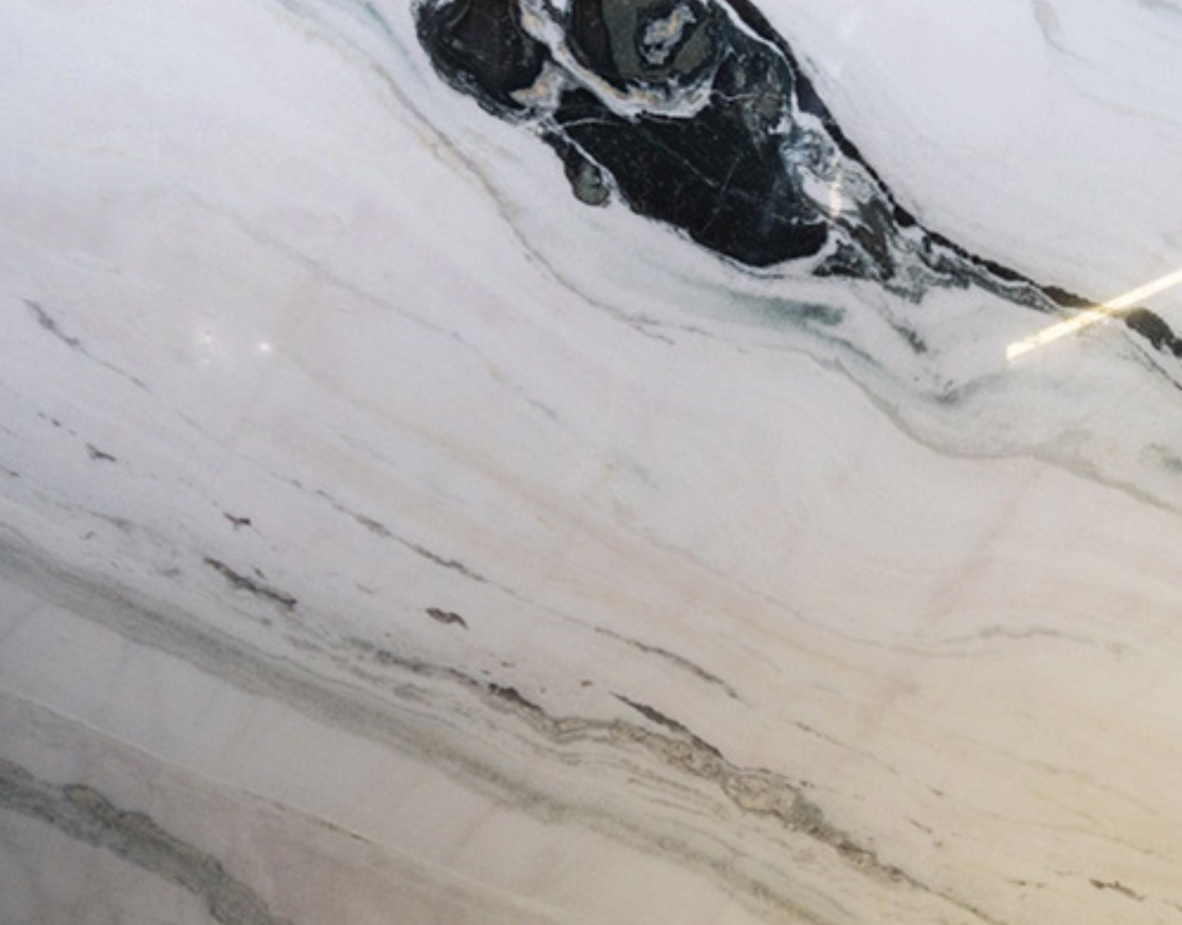 Panda White Marble